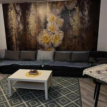 Maya Racadau Braşov